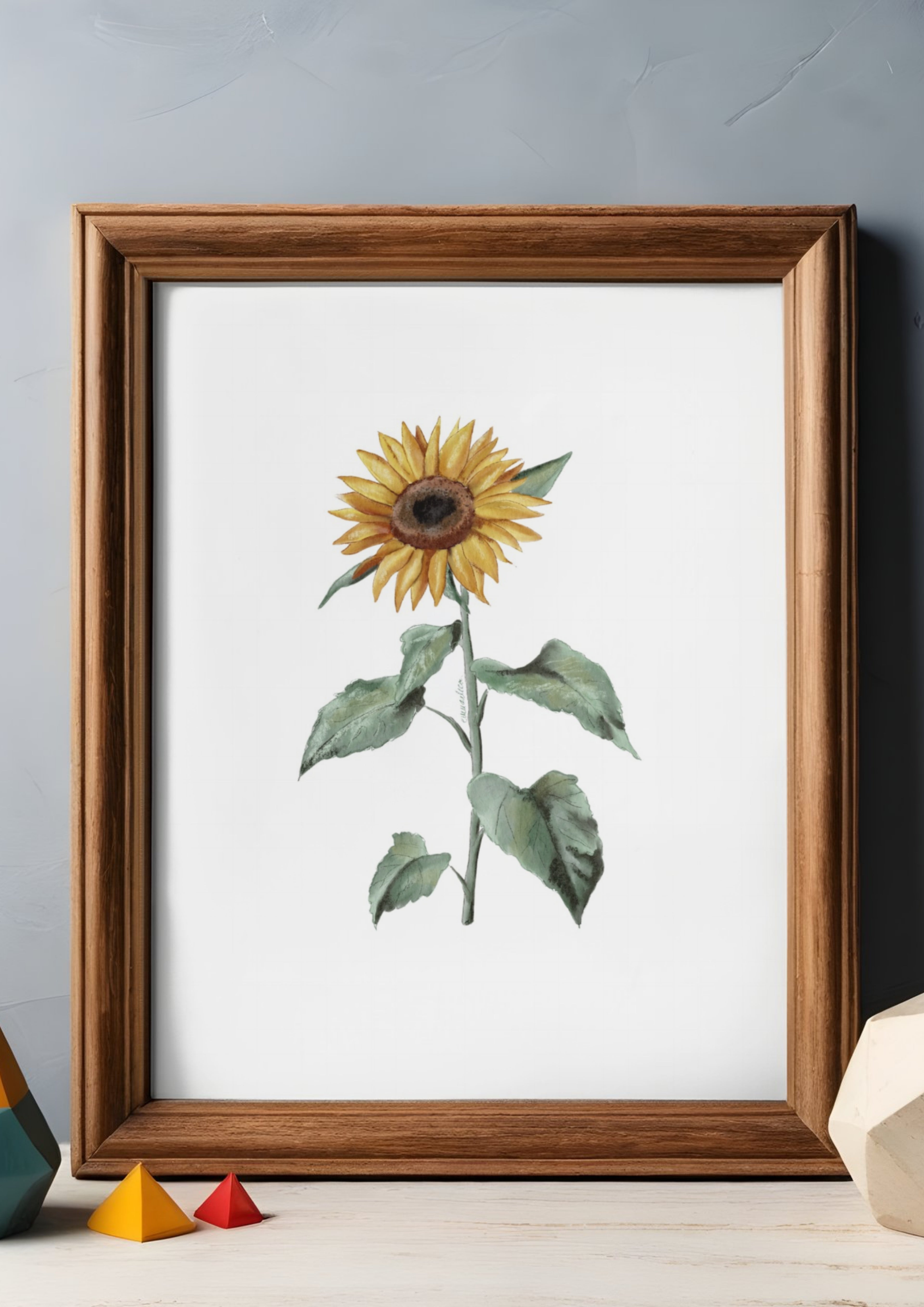 Print A3 cu diverse ilustrații (30+ variante)