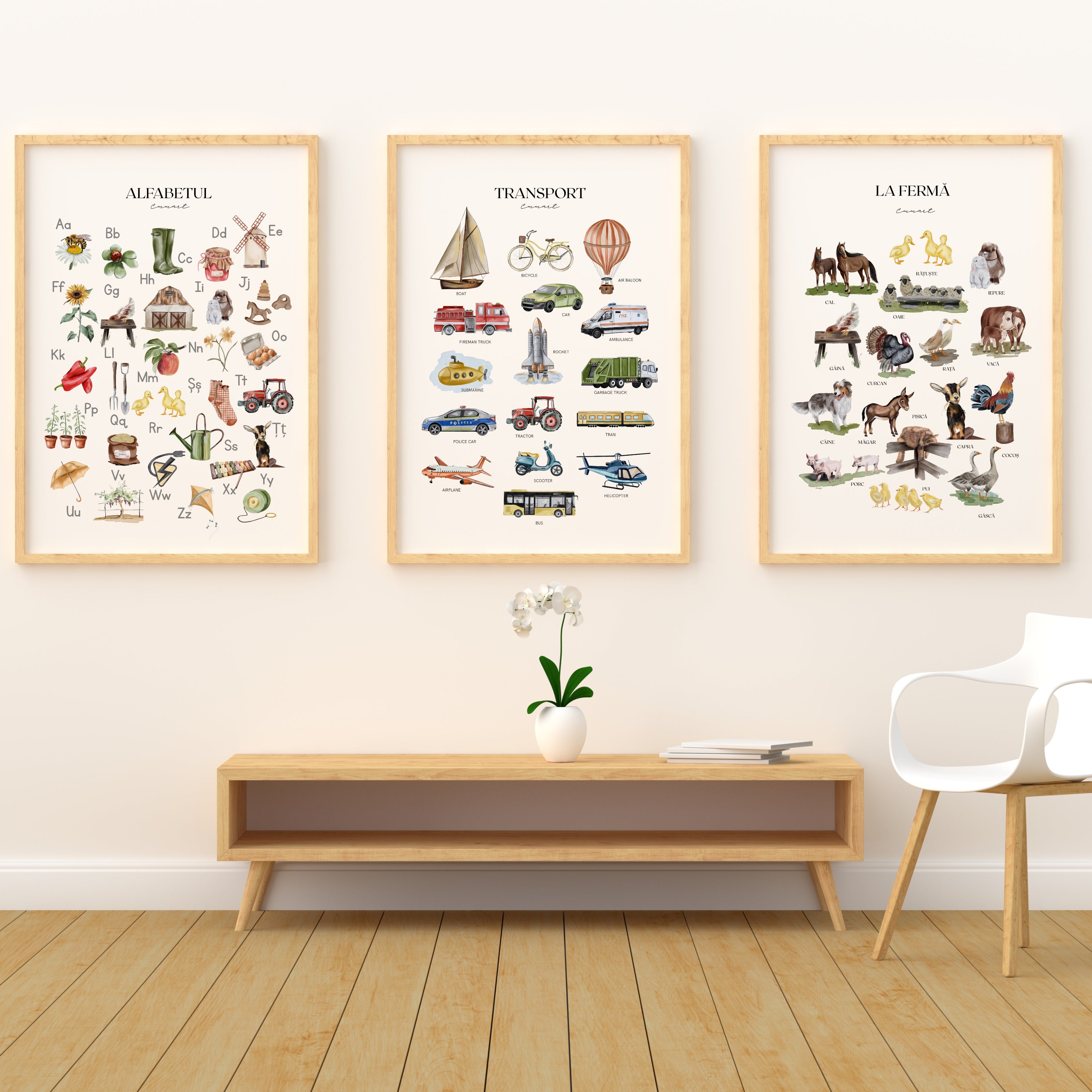 Colectia cu ilustratii