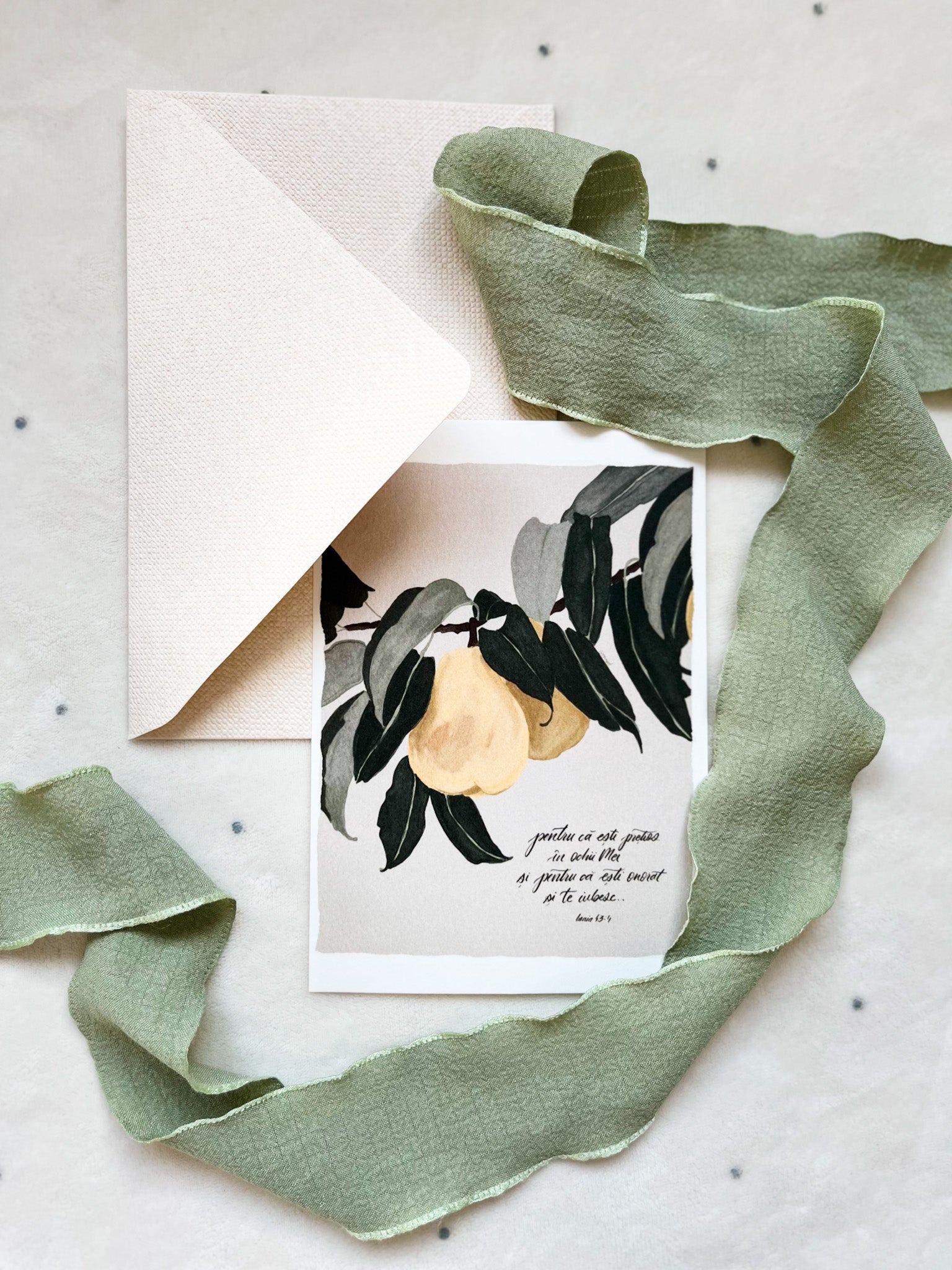 Set 4 cartoline "Peisaje"