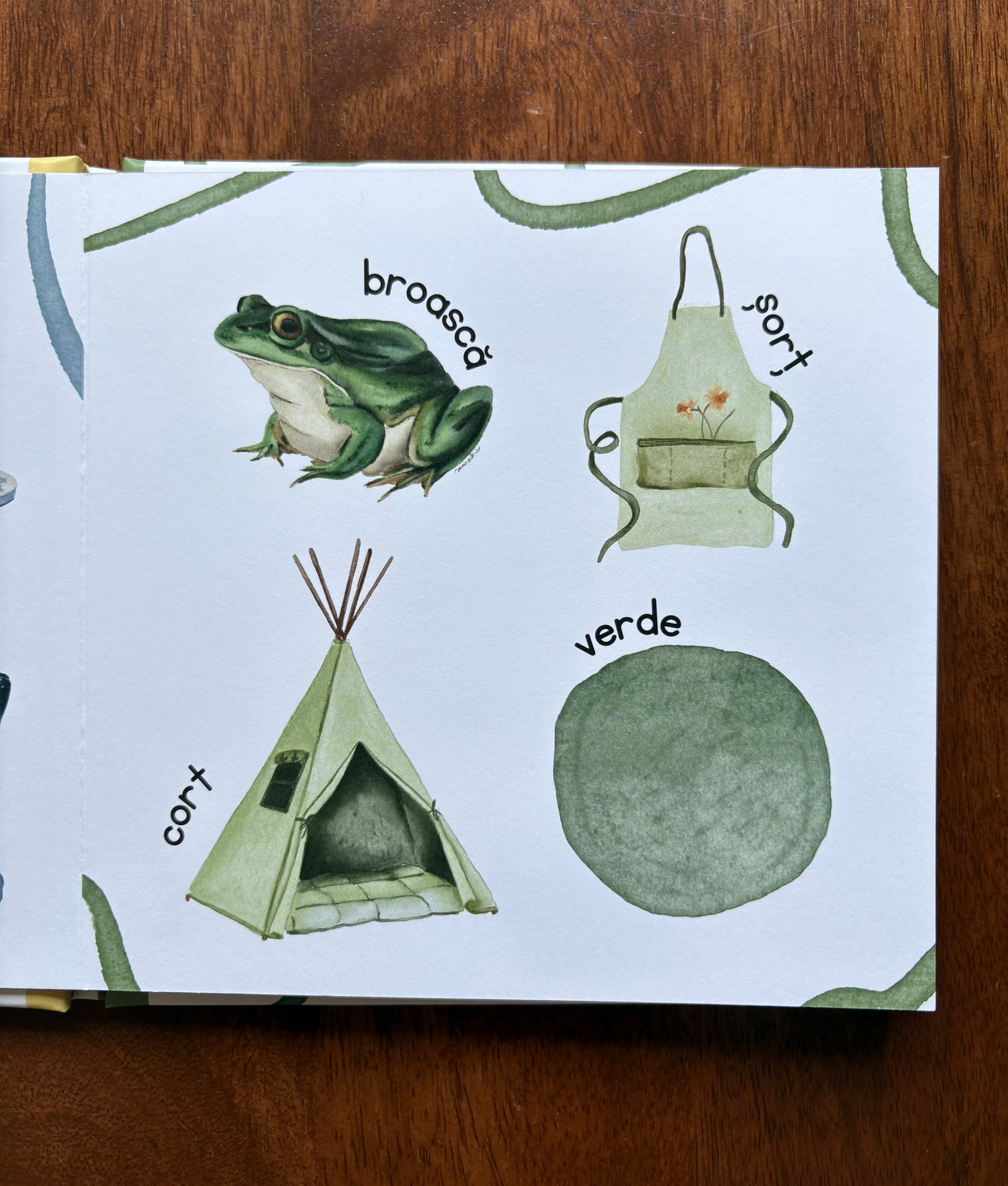 Cartea despe culori ilustrată
