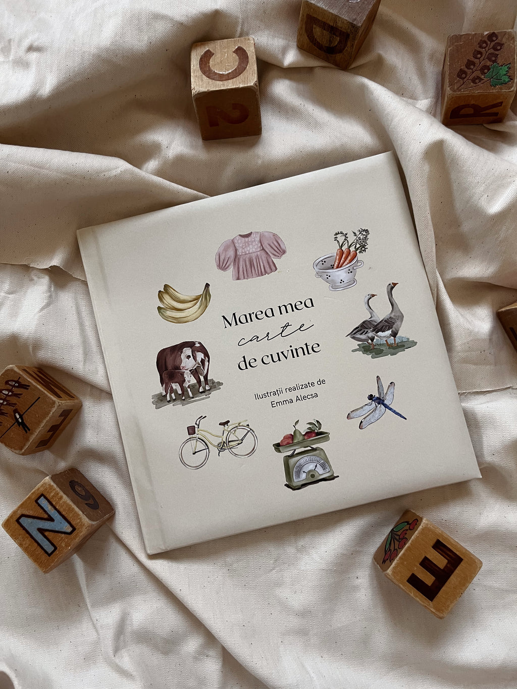 Cartea 'Marea mea carte de cuvinte'