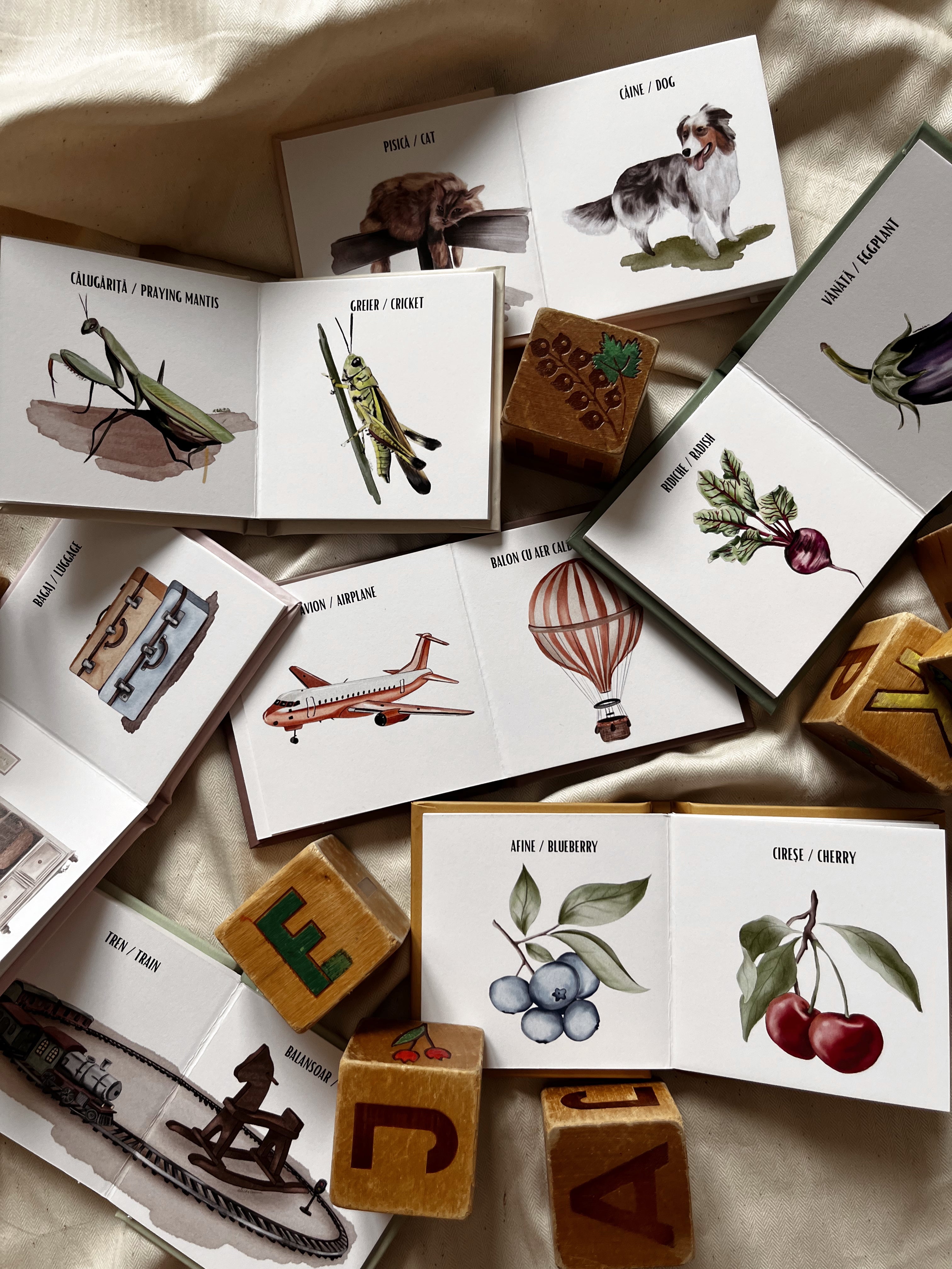 Prima mea bibliotecă de cuvinte