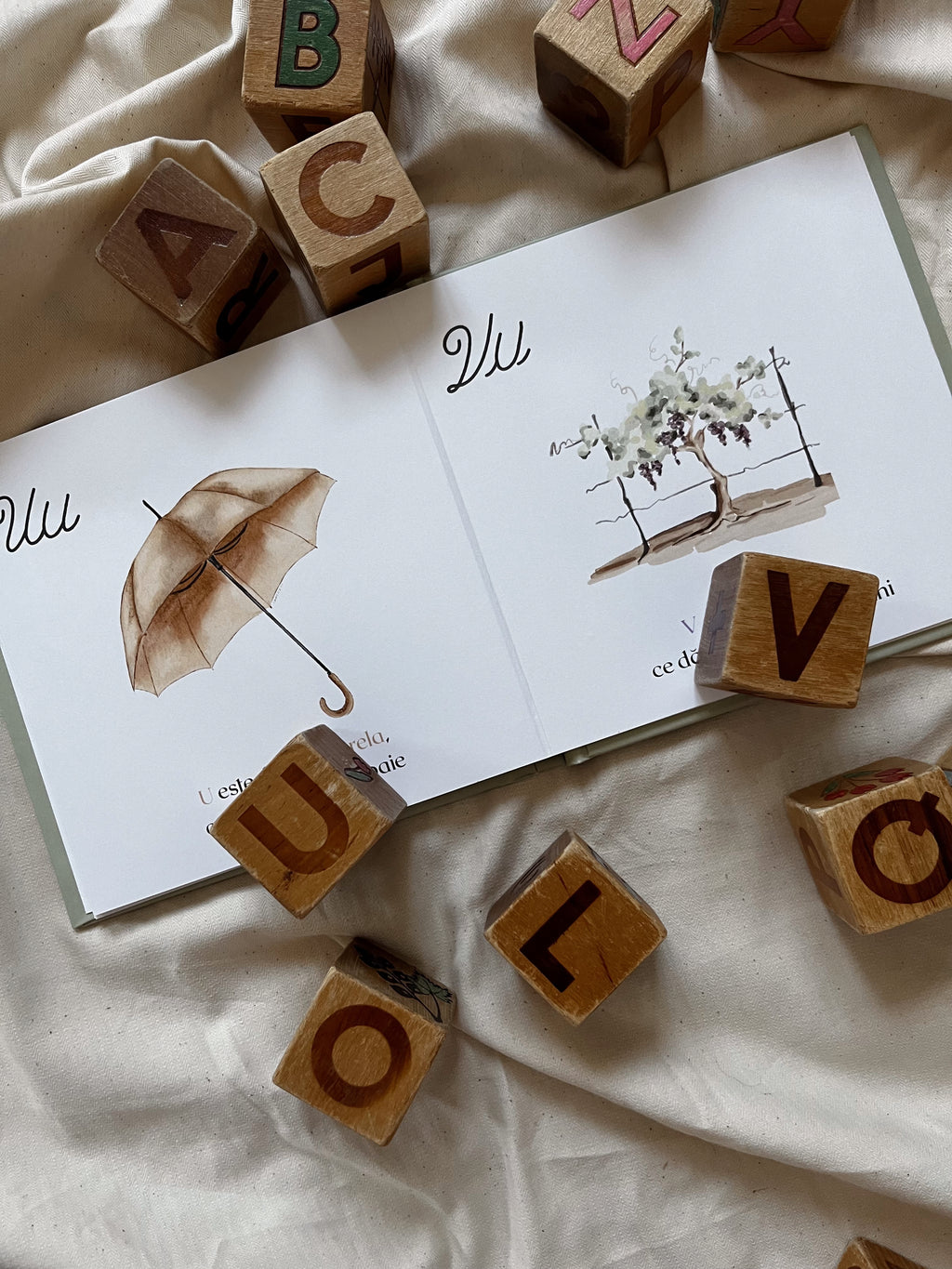 Cartea 'Primul meu alfabet'