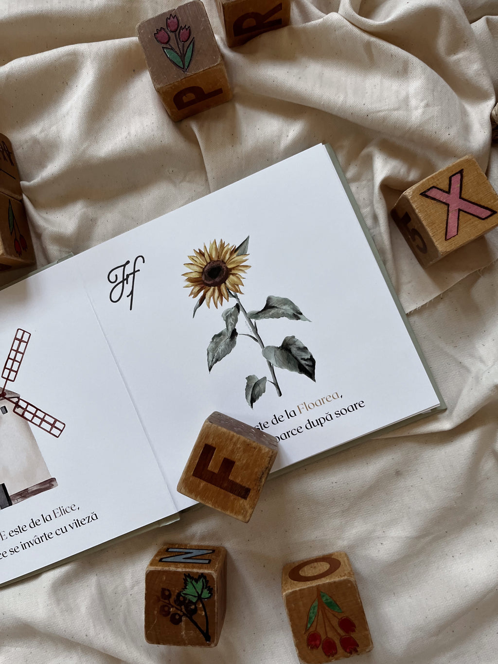 Cartea 'Primul meu alfabet'