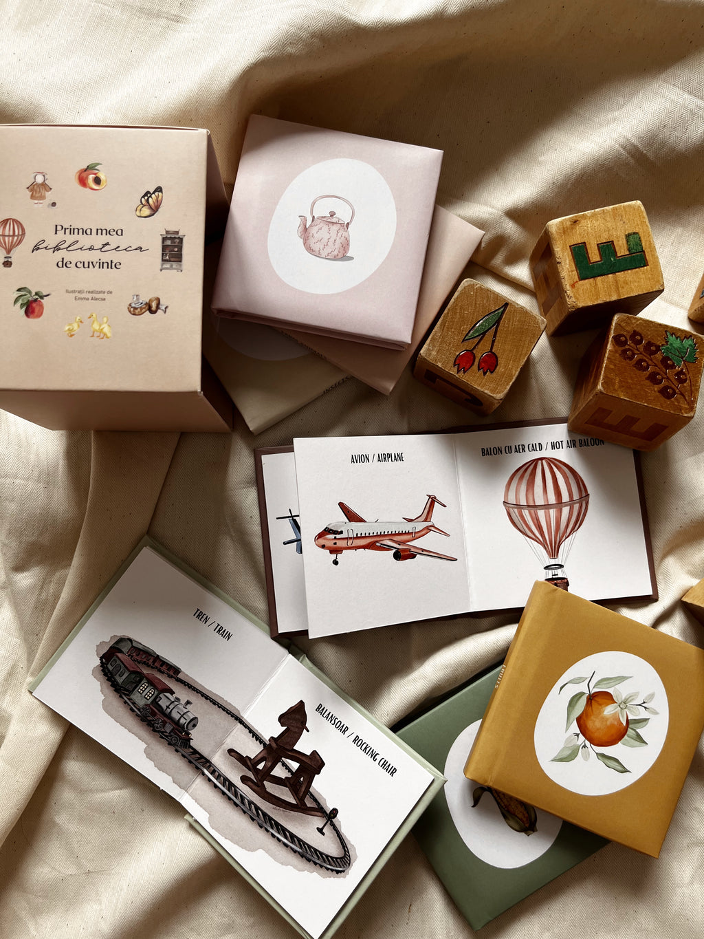 Prima mea bibliotecă de cuvinte