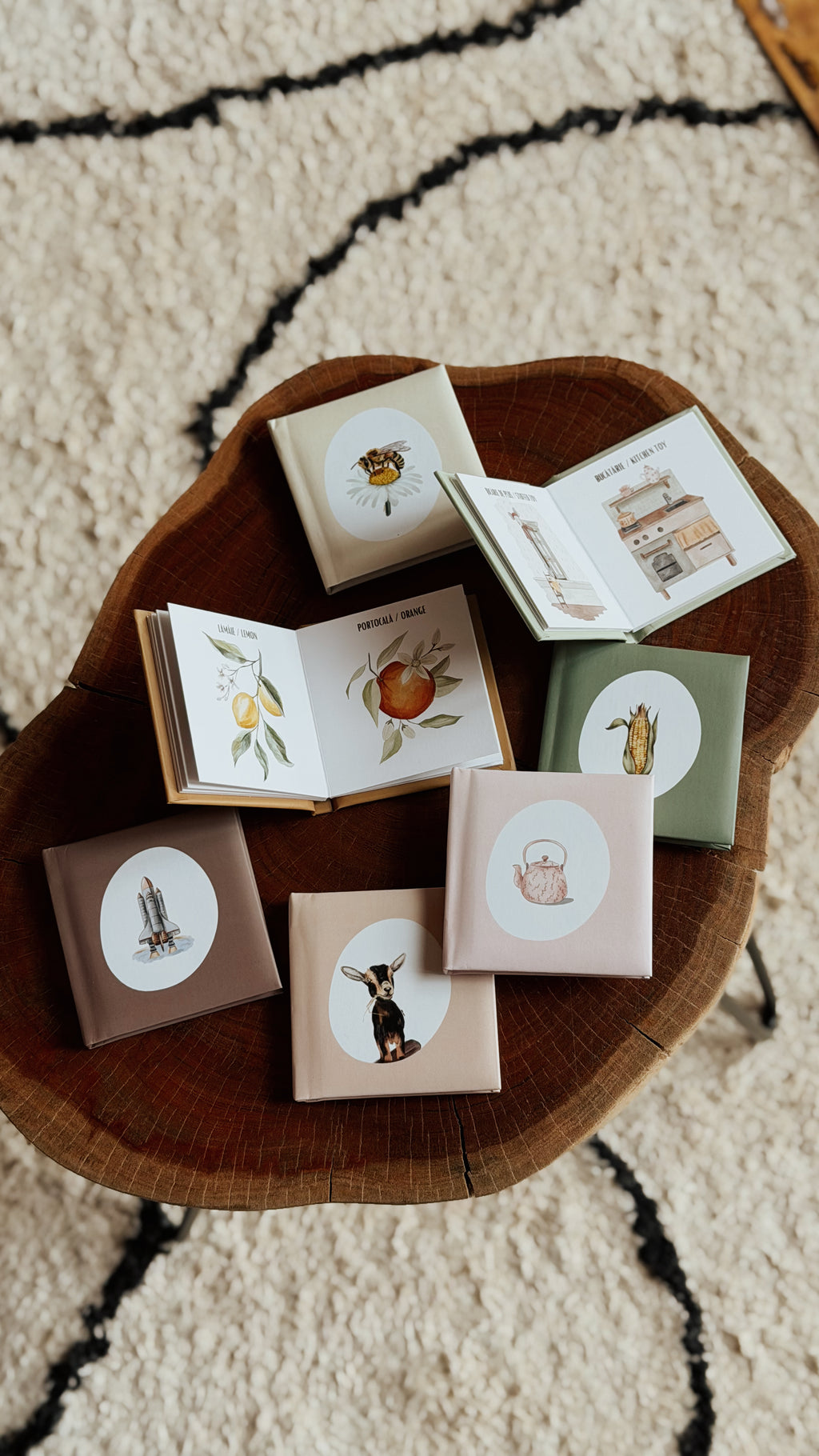 Prima mea bibliotecă de cuvinte