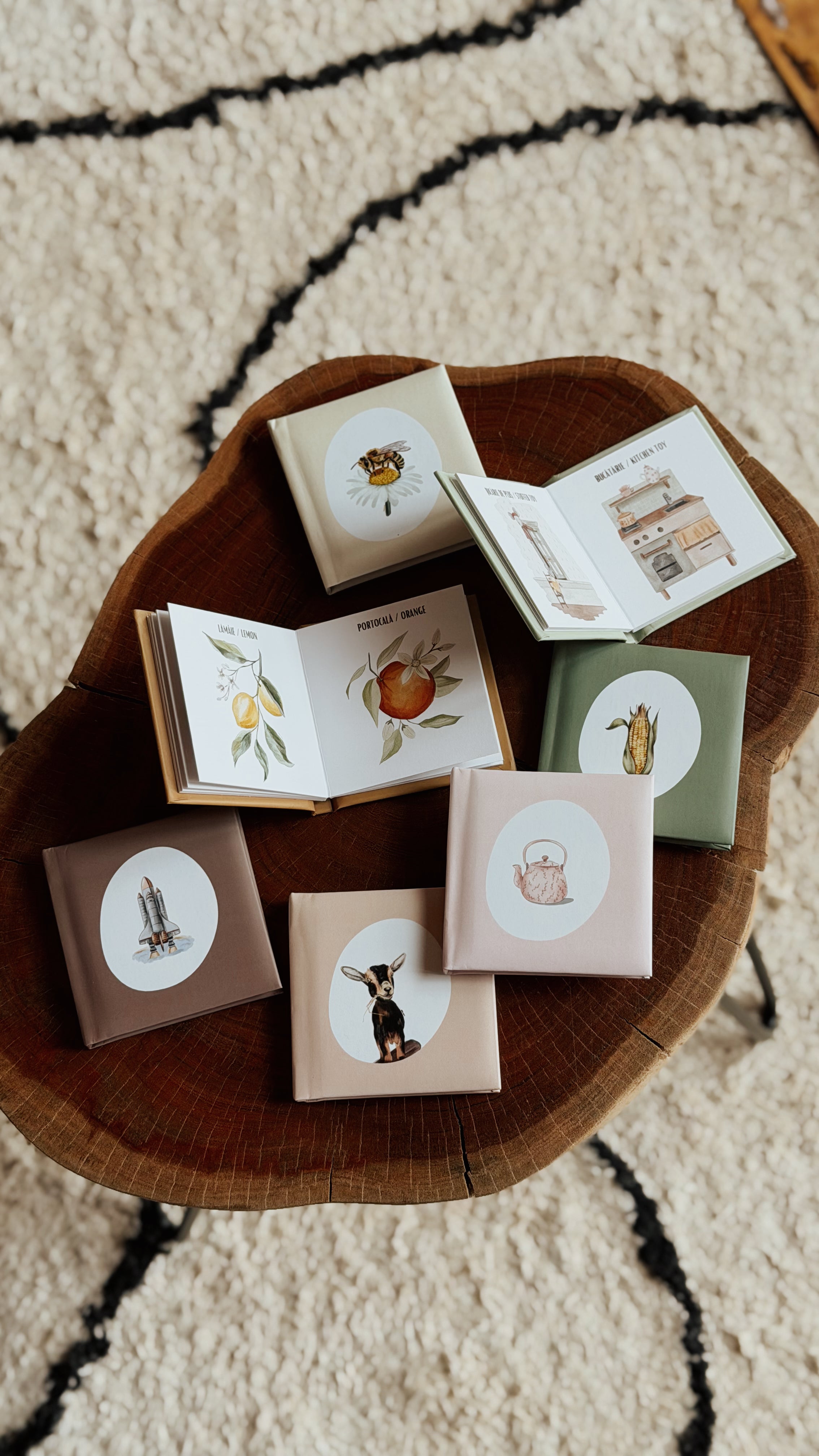 Prima mea bibliotecă de cuvinte