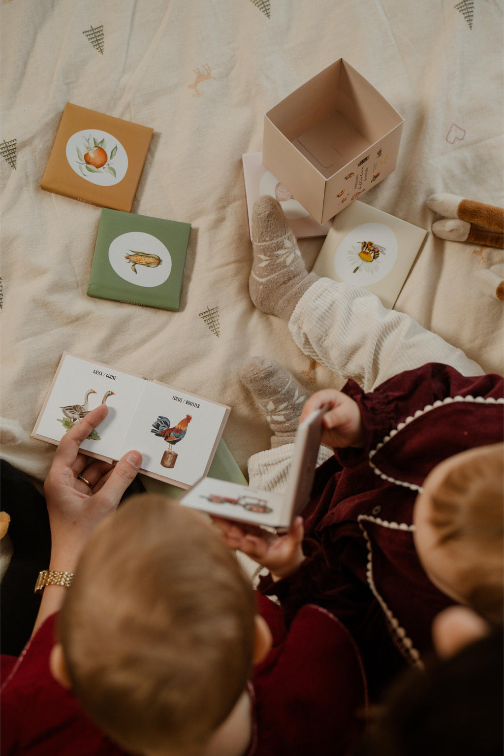 Prima mea bibliotecă de cuvinte