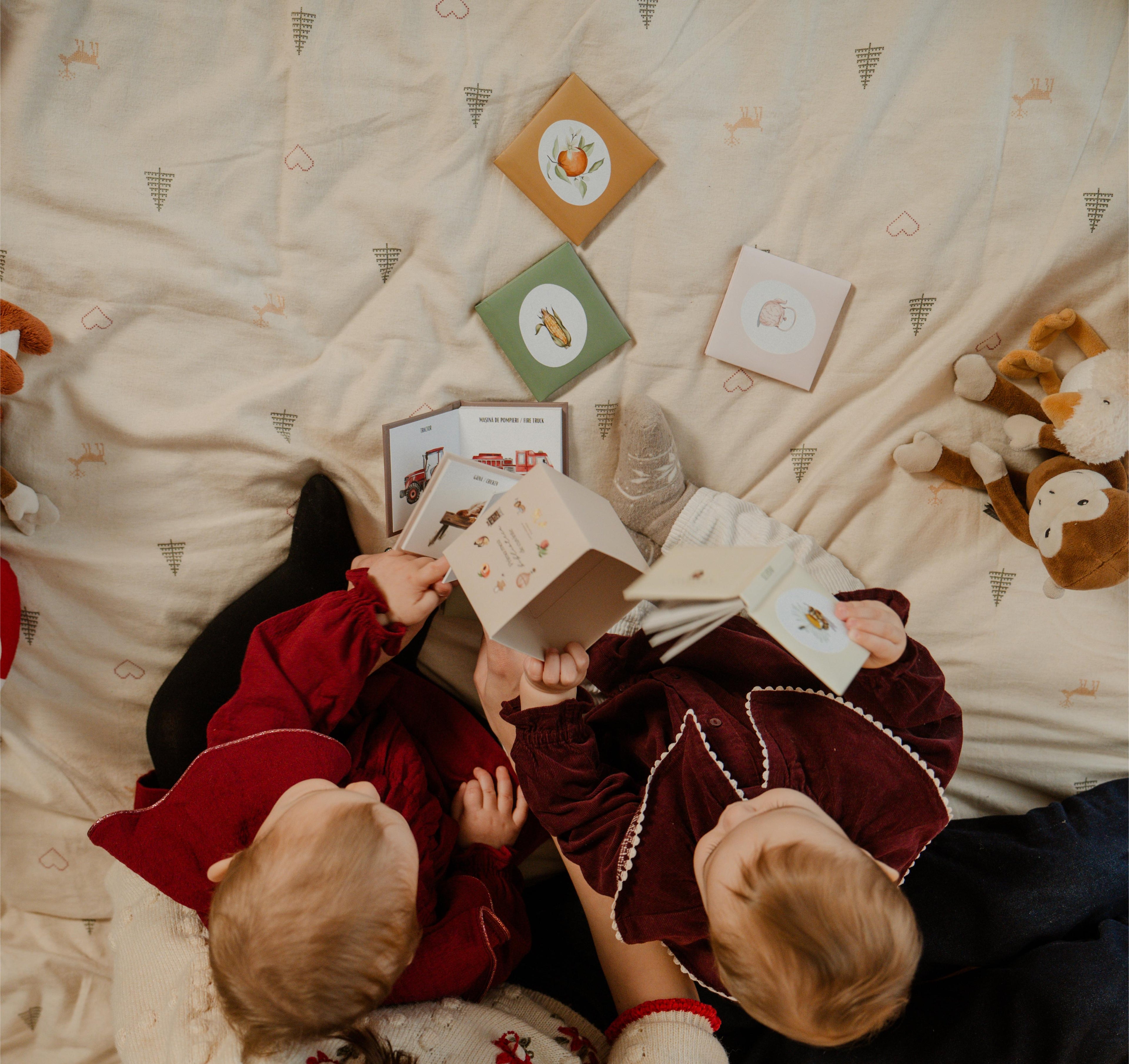 Prima mea bibliotecă de cuvinte