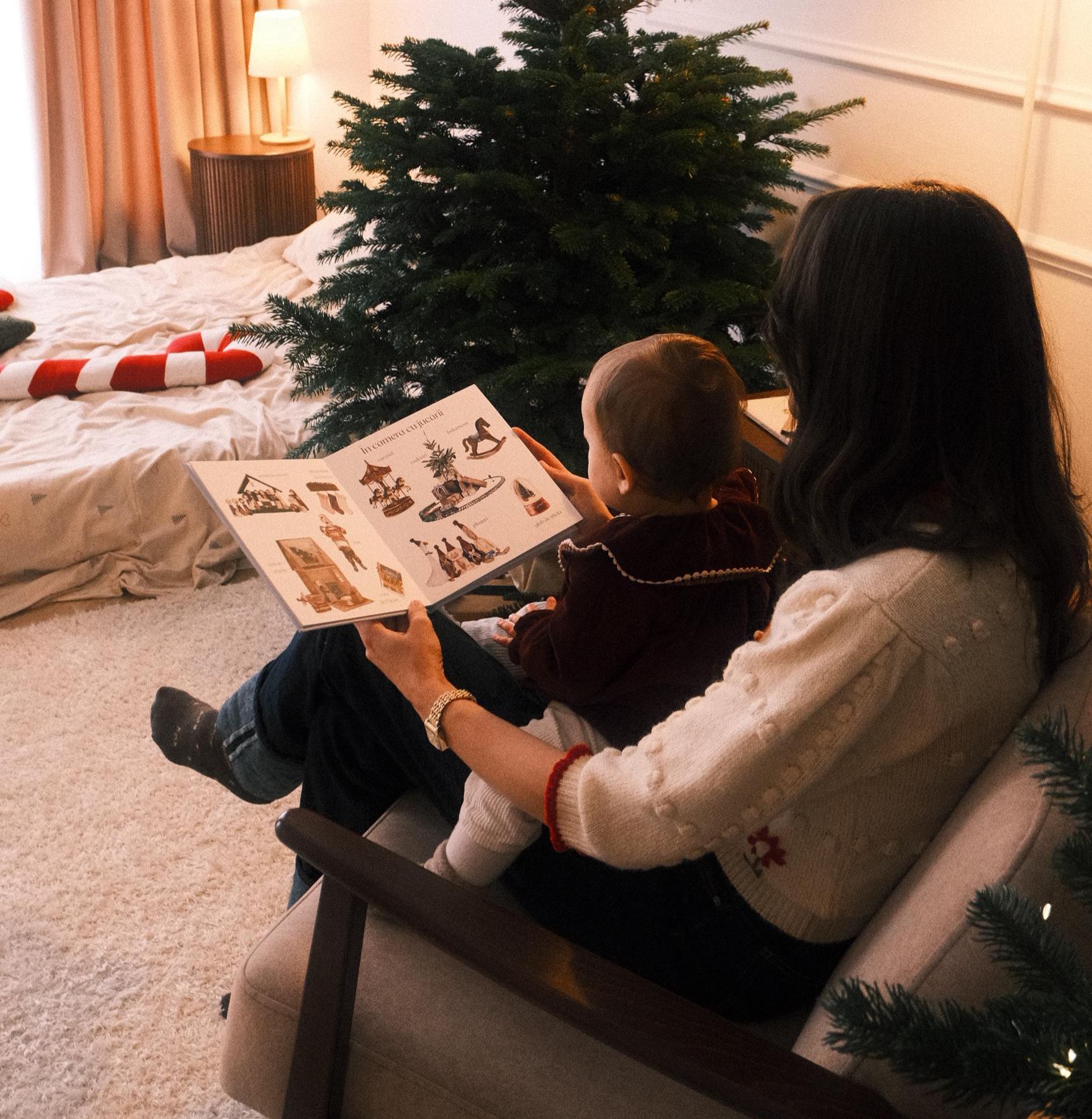 Marea mea carte de iarnă