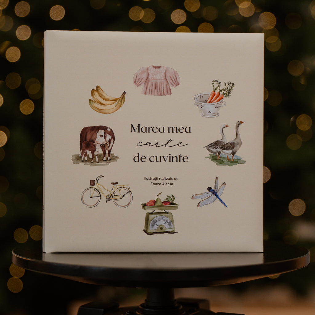 Cartea 'Marea mea carte de cuvinte'