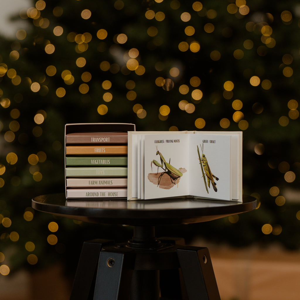 Prima mea bibliotecă de cuvinte