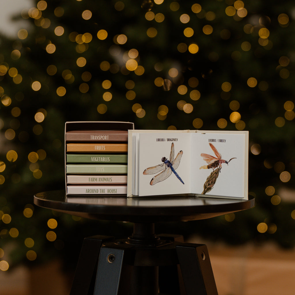 Prima mea bibliotecă de cuvinte