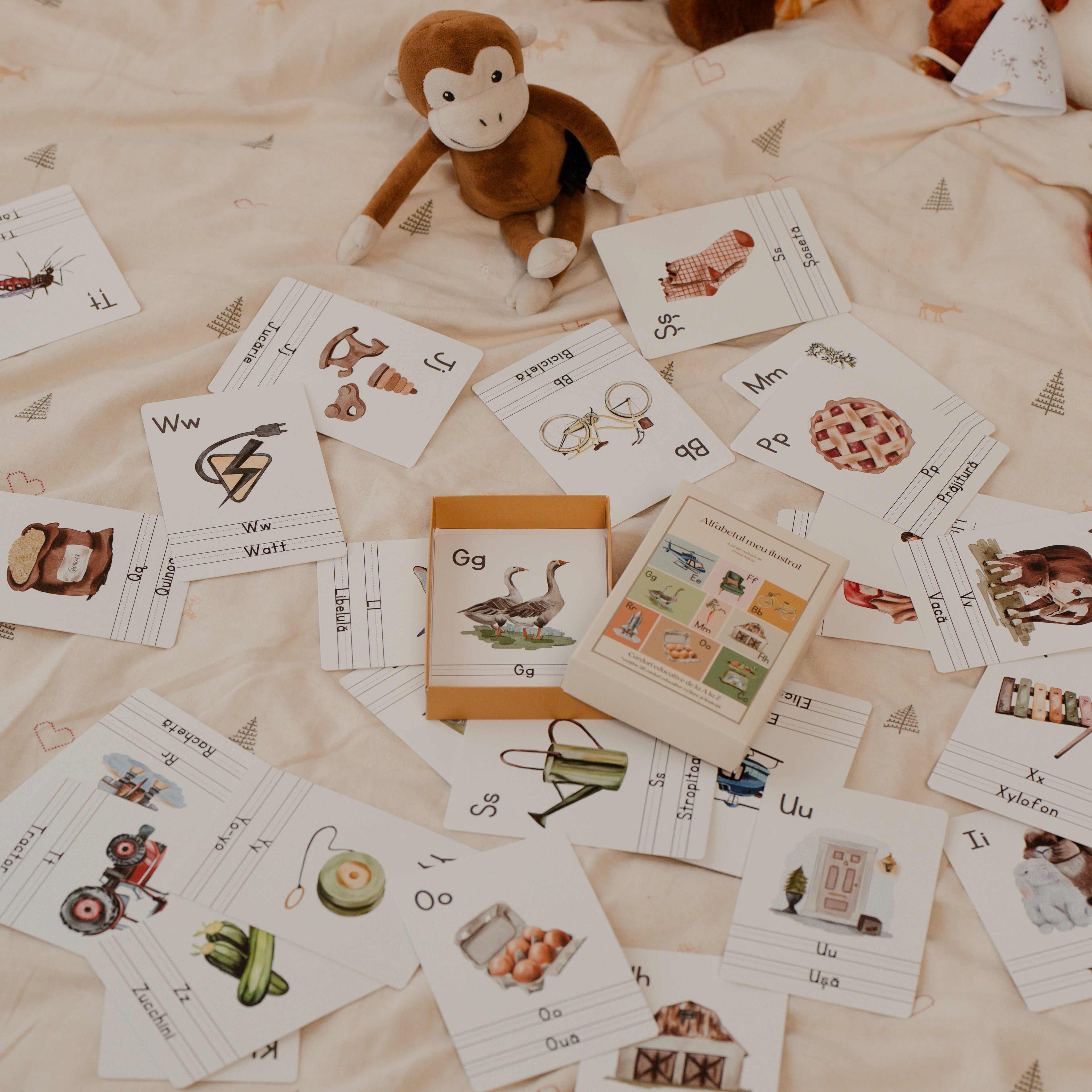 Flashcarduri - Alfabet